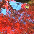 写真: 水辺の秋:紅葉01
