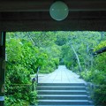 東慶寺の緑♪