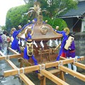 写真: 葉山森戸神社のお神輿＾＾