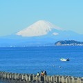 写真: 逗子からの富士山＾＾
