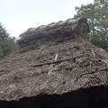 写真: 藁ぶき屋根〜北鎌倉