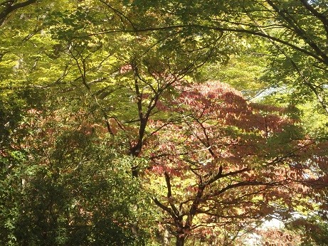 写真: 名城公園　秋景色
