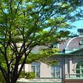 写真: 旧福岡公会堂貴賓館