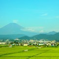 相模平野からの富士山＾＾