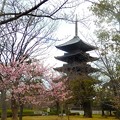 写真: 東寺の五重塔