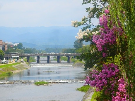 写真: 京都〜夏の鴨川