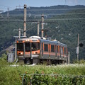 写真: 飯田線リレー号