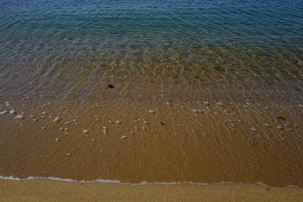 夏の海