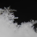 写真: 雪の結晶
