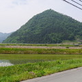 写真: 山の田んぼ