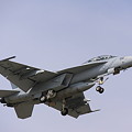 写真: F/A-18F(102)