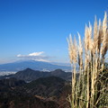 富士山とすすき