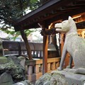 写真: 東京「入谷」小野照崎神社内 御嶽神社 三峰神社 琴平神社 狛オオカミ
