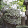 写真: 門前仲町 富岡八幡宮 稲荷神社 狛犬