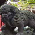 写真: 門前仲町 富岡八幡宮 稲荷神社 狛犬