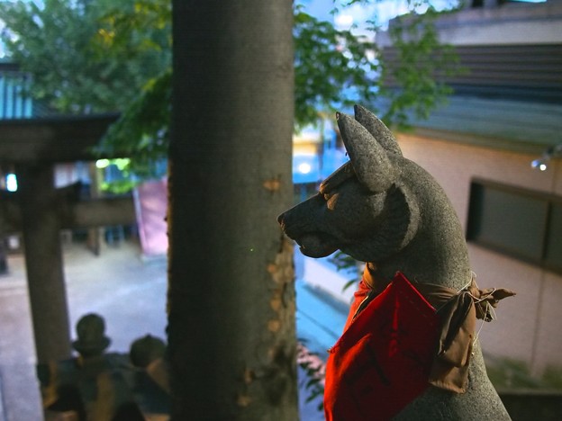 写真: 王子稲荷神社 狛狐