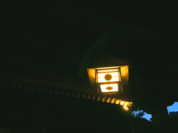 王子稲荷神社 灯り