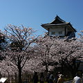 写真: 石川門と満開の桜