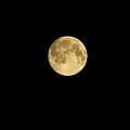 写真: 中秋の名月(1)　22：55