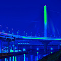 写真: かつしかハーブ橋