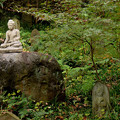 写真: 石仏の庭