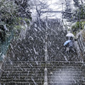 雪の本門寺 (4)