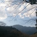写真: 椿神社3