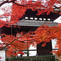写真: 京都2 131
