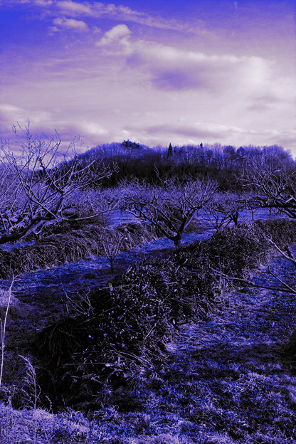Infrared photography