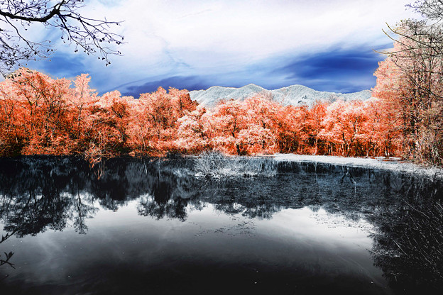 Infrared photography