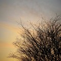 写真: 夕焼け.2 (750x1000)