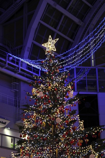 写真: サッポロファクトリー アトリウム　「ジャンボクリスマスツリー」 (2)