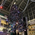 写真: サッポロファクトリー アトリウム　「ジャンボクリスマスツリー」 (4)
