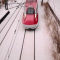 写真: Red dragon in the snow ver.1