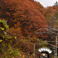 写真: 紅葉の刺巻トンネル３