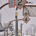 写真: 元日の大雪１４
