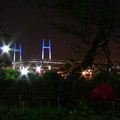 写真: 横浜、港の見える丘公園のバラ園から撮ったベイブリッジ夜景