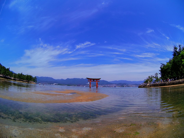 写真: 厳島神社
