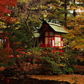 写真: 秋の白石神社.3