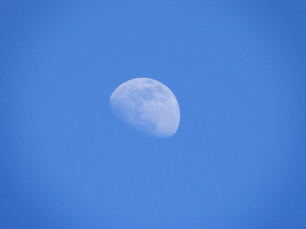 blue moon 002