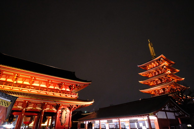 写真: 浅草寺の夜桜１