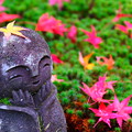 写真: 秋の圓光寺　その３