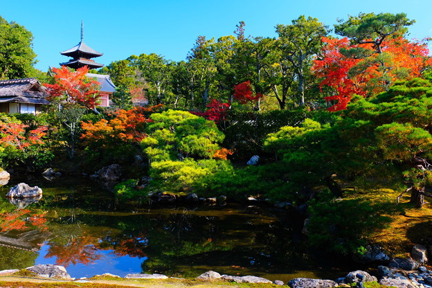 写真: 紅葉に染まる仁和寺北庭