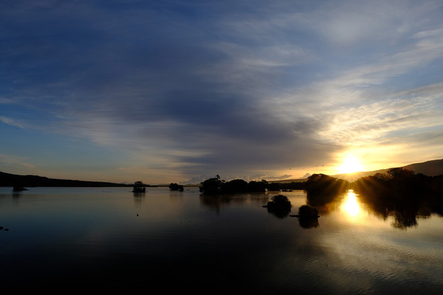 写真: 朝日に照らされる大沼公園