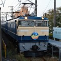 EF65501＠鎌倉