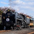 写真: 蒸気機関車C622