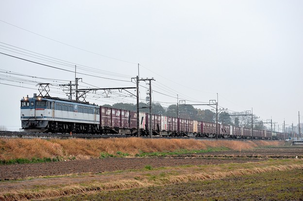 Photos: EF652088牽引高速貨物列車
