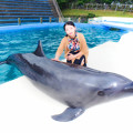 写真: Dolphin friends
