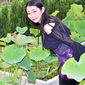 写真: Surrounded by a lotus