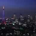 Photos: R0031840 − Purple Tokyo